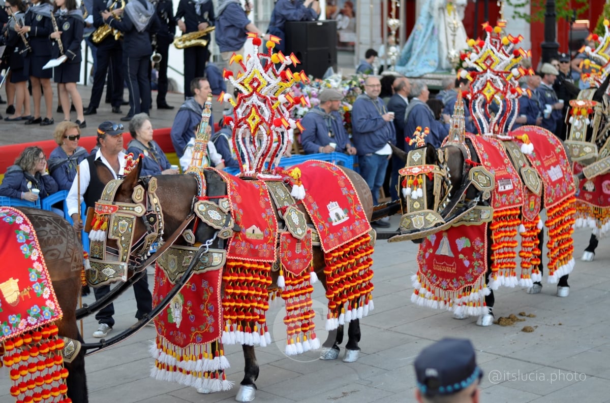 Lucía Moreno y Paloma Morales retratan la emoción de la llegada de la Virgen de las Viñas a Tomelloso