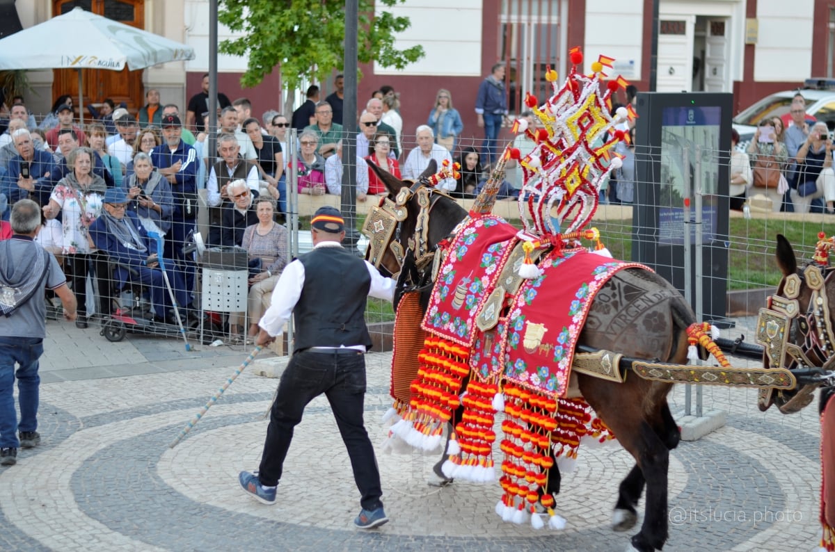 Lucía Moreno y Paloma Morales retratan la emoción de la llegada de la Virgen de las Viñas a Tomelloso