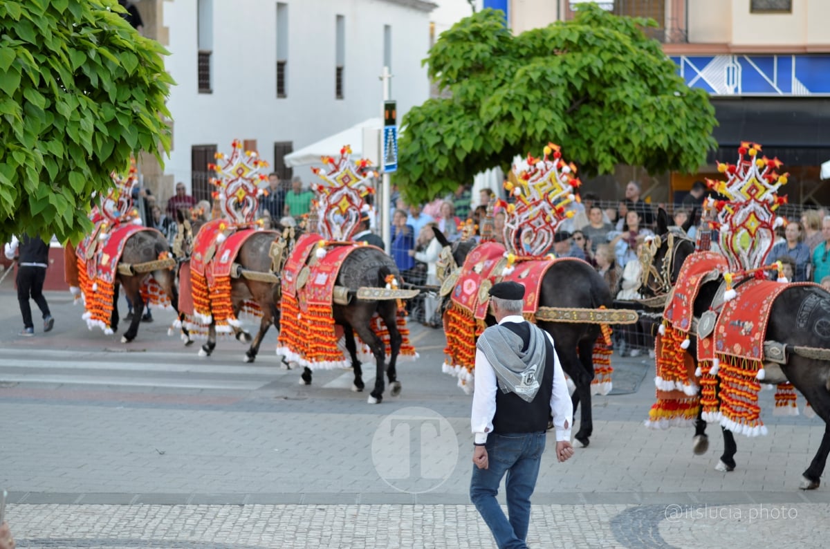 Lucía Moreno y Paloma Morales retratan la emoción de la llegada de la Virgen de las Viñas a Tomelloso