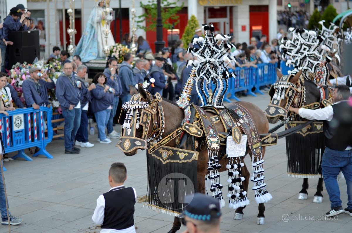 Lucía Moreno y Paloma Morales retratan la emoción de la llegada de la Virgen de las Viñas a Tomelloso