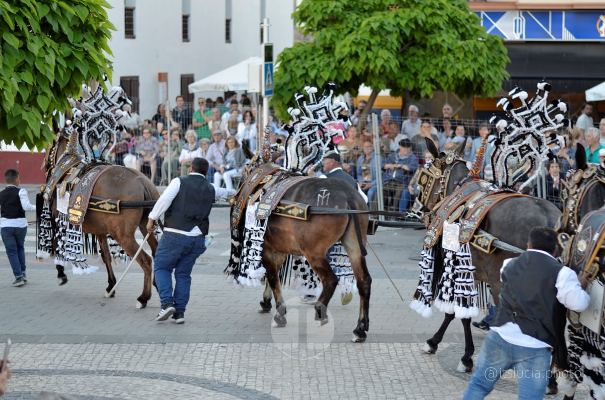 Lucía Moreno y Paloma Morales retratan la emoción de la llegada de la Virgen de las Viñas a Tomelloso