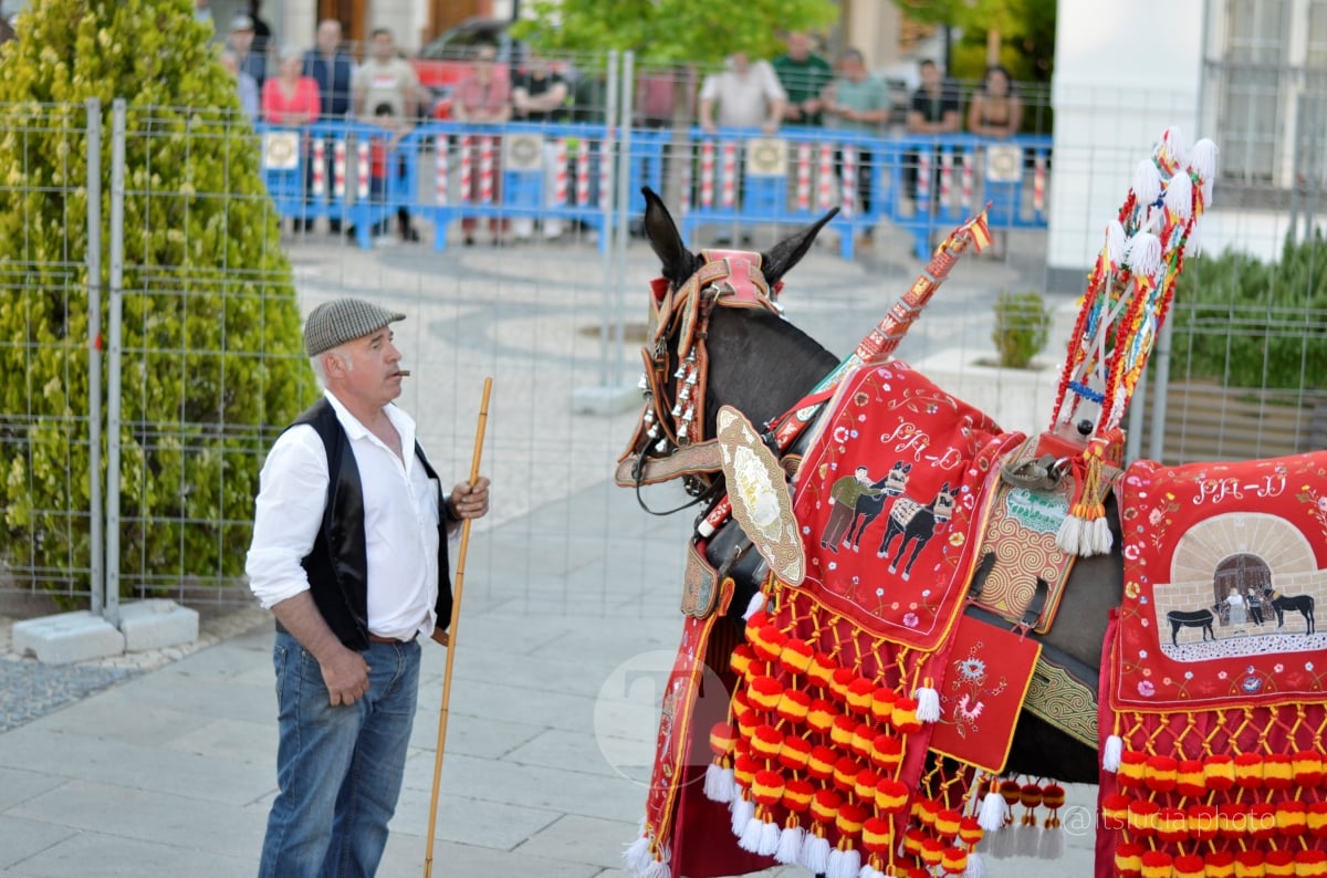 Lucía Moreno y Paloma Morales retratan la emoción de la llegada de la Virgen de las Viñas a Tomelloso