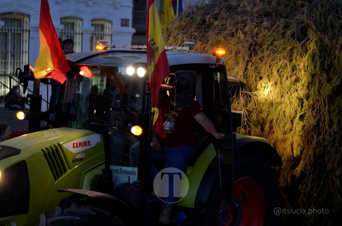 Lucía Moreno y Paloma Morales retratan la emoción de la llegada de la Virgen de las Viñas a Tomelloso