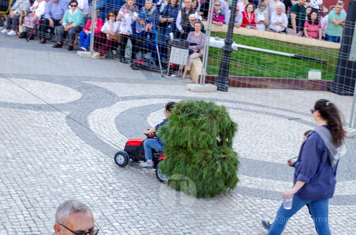 Lucía Moreno y Paloma Morales retratan la emoción de la llegada de la Virgen de las Viñas a Tomelloso