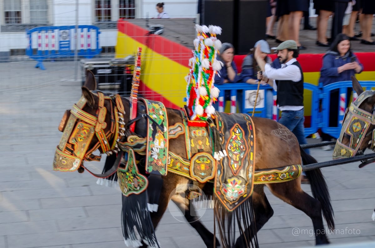Lucía Moreno y Paloma Morales retratan la emoción de la llegada de la Virgen de las Viñas a Tomelloso