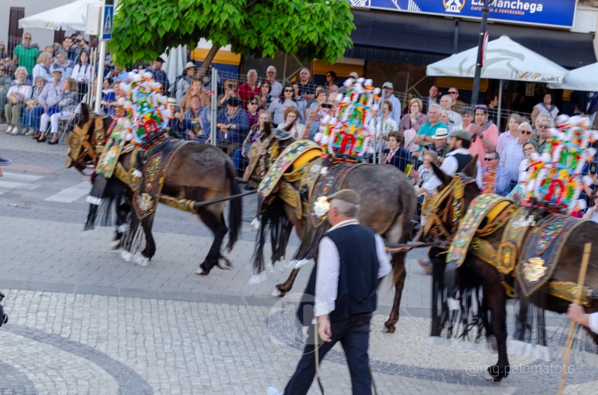 Lucía Moreno y Paloma Morales retratan la emoción de la llegada de la Virgen de las Viñas a Tomelloso