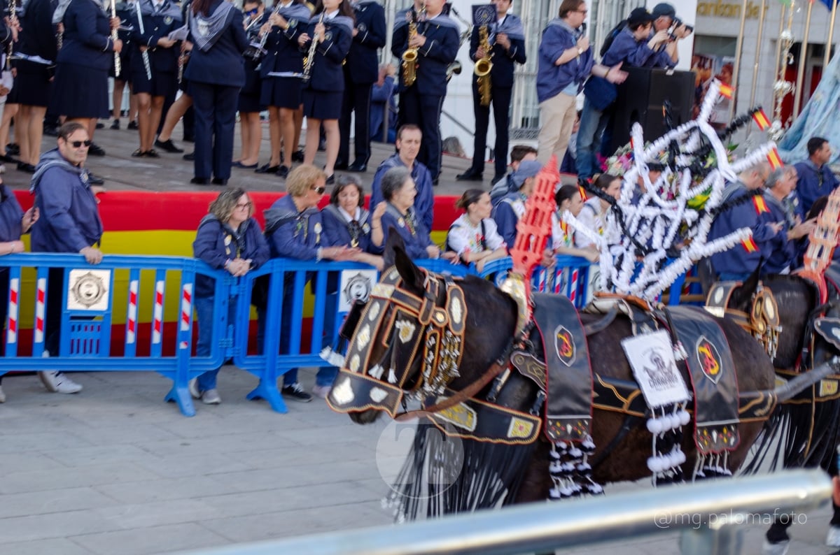 Lucía Moreno y Paloma Morales retratan la emoción de la llegada de la Virgen de las Viñas a Tomelloso