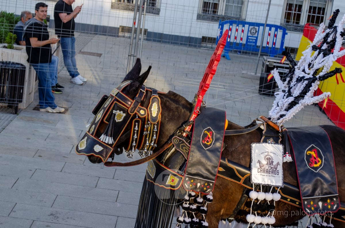 Lucía Moreno y Paloma Morales retratan la emoción de la llegada de la Virgen de las Viñas a Tomelloso