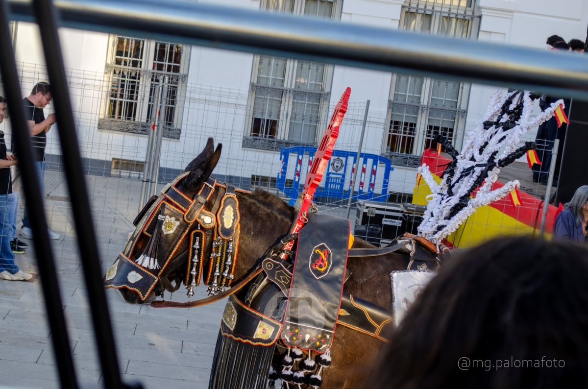 Lucía Moreno y Paloma Morales retratan la emoción de la llegada de la Virgen de las Viñas a Tomelloso