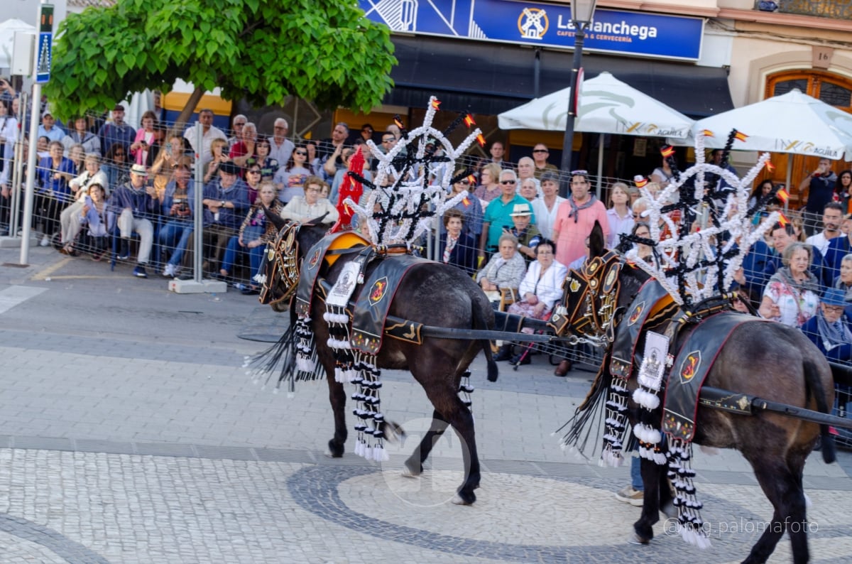 Lucía Moreno y Paloma Morales retratan la emoción de la llegada de la Virgen de las Viñas a Tomelloso