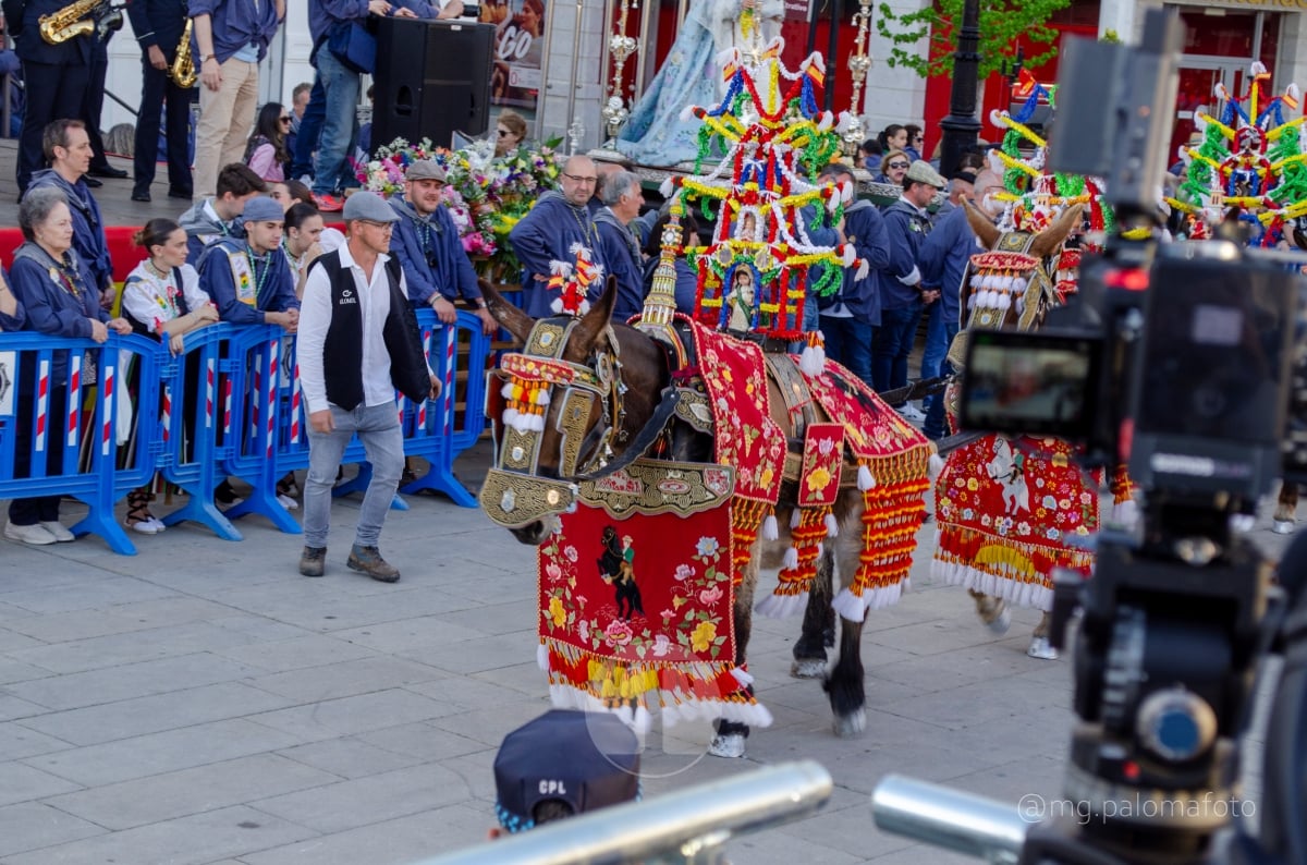 Lucía Moreno y Paloma Morales retratan la emoción de la llegada de la Virgen de las Viñas a Tomelloso
