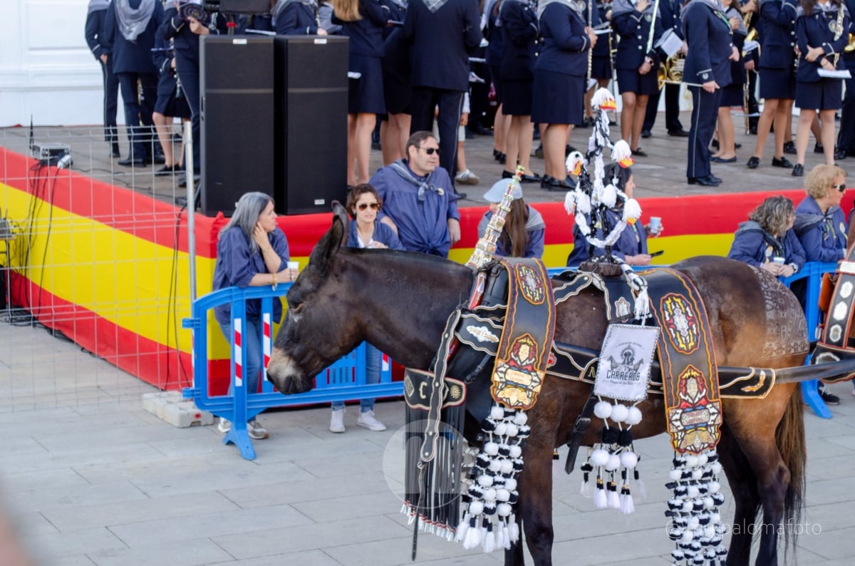 Lucía Moreno y Paloma Morales retratan la emoción de la llegada de la Virgen de las Viñas a Tomelloso