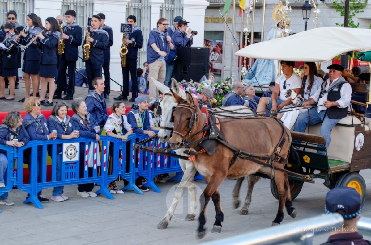Lucía Moreno y Paloma Morales retratan la emoción de la llegada de la Virgen de las Viñas a Tomelloso