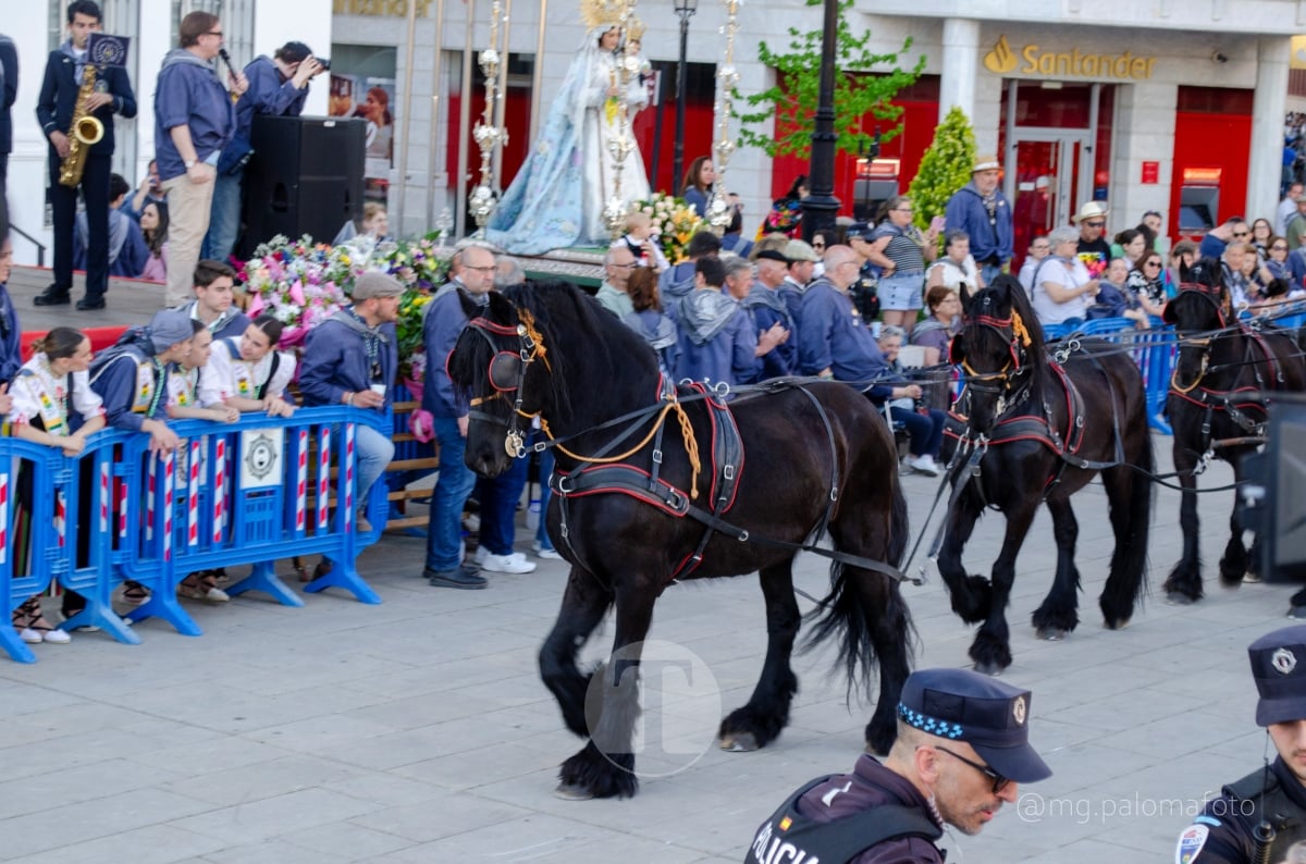 Lucía Moreno y Paloma Morales retratan la emoción de la llegada de la Virgen de las Viñas a Tomelloso