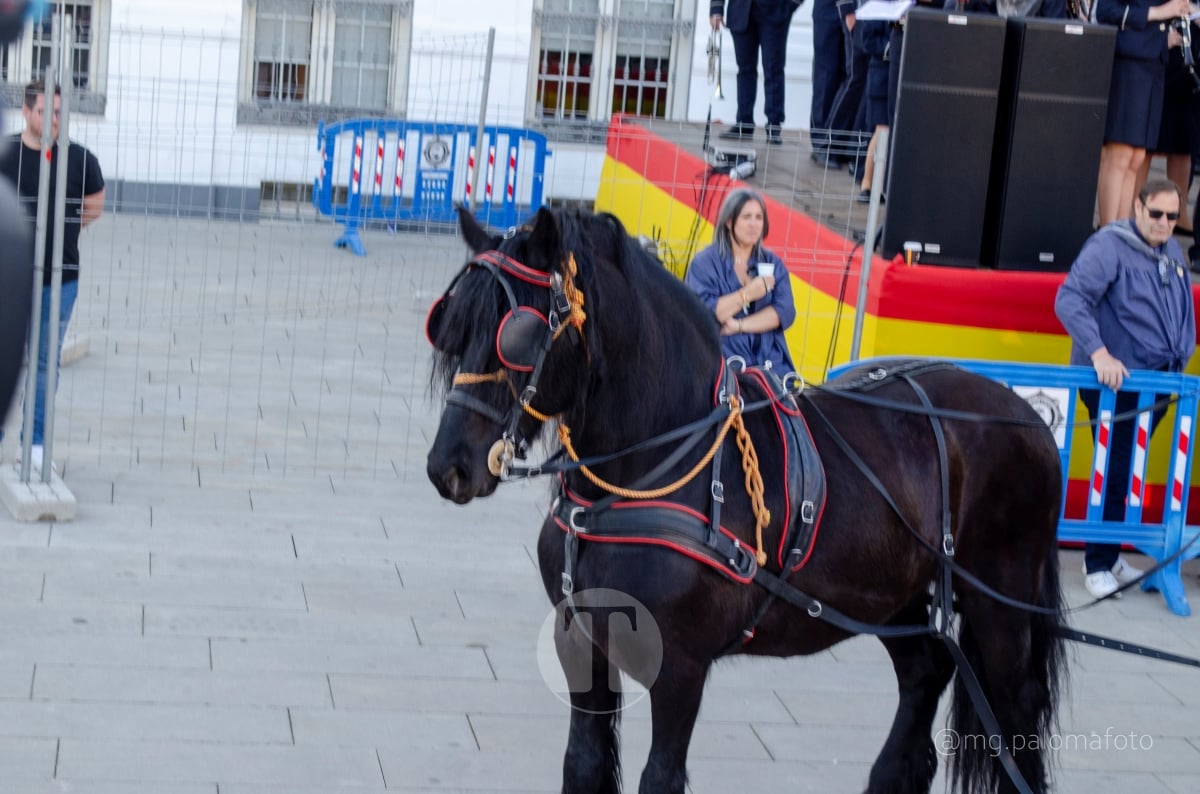 Lucía Moreno y Paloma Morales retratan la emoción de la llegada de la Virgen de las Viñas a Tomelloso