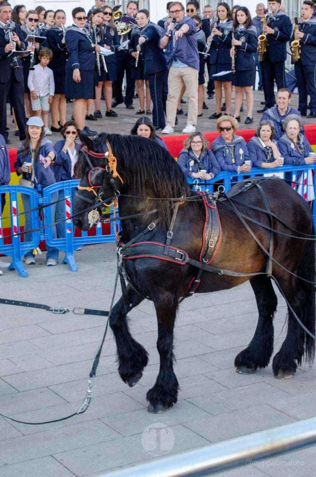 Lucía Moreno y Paloma Morales retratan la emoción de la llegada de la Virgen de las Viñas a Tomelloso