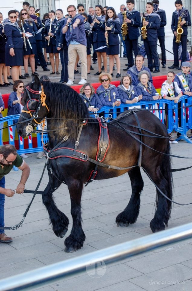 Lucía Moreno y Paloma Morales retratan la emoción de la llegada de la Virgen de las Viñas a Tomelloso