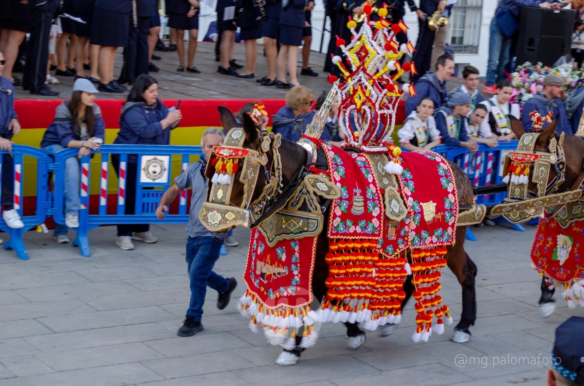 Lucía Moreno y Paloma Morales retratan la emoción de la llegada de la Virgen de las Viñas a Tomelloso