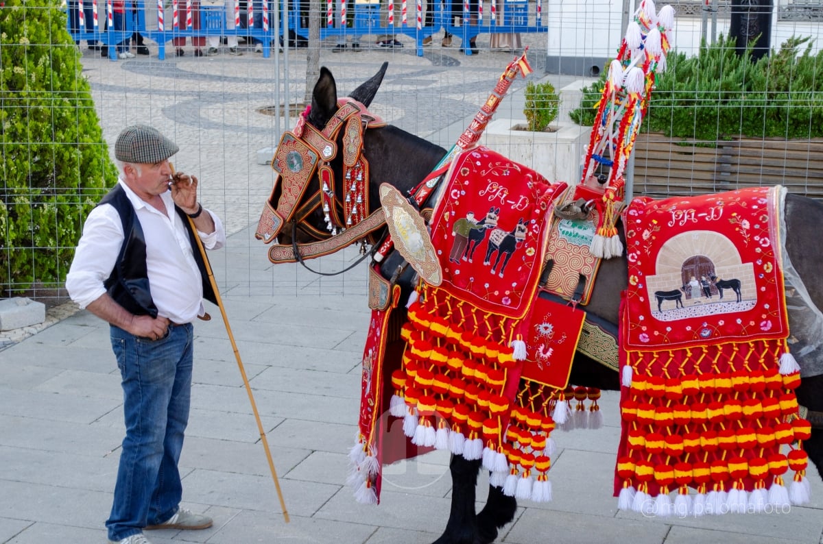 Lucía Moreno y Paloma Morales retratan la emoción de la llegada de la Virgen de las Viñas a Tomelloso