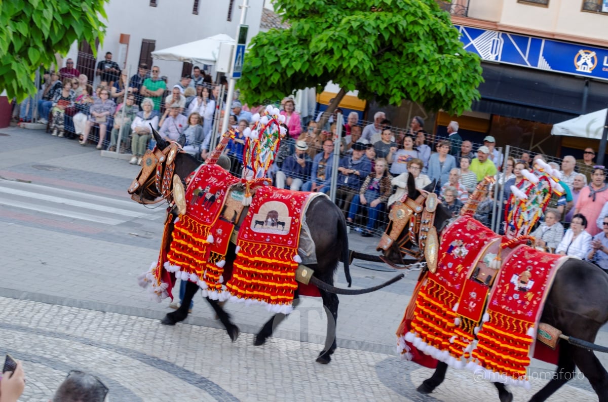 Lucía Moreno y Paloma Morales retratan la emoción de la llegada de la Virgen de las Viñas a Tomelloso