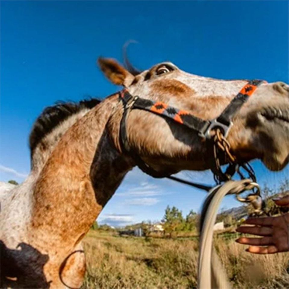 Todo el mundo habla de... Mala Gestión