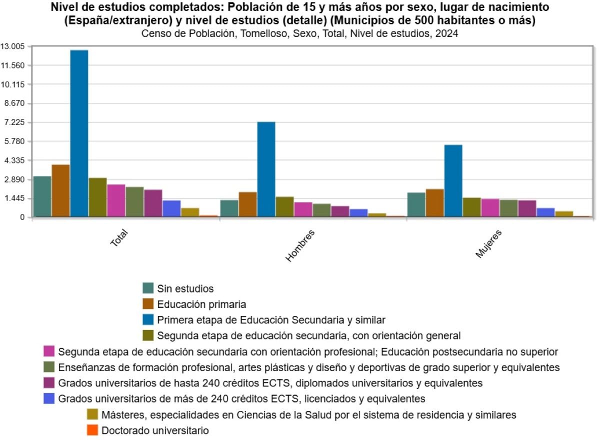 Instituto, graduados o doctorados, ¿qué estudios tienen los vecinos de Tomelloso?