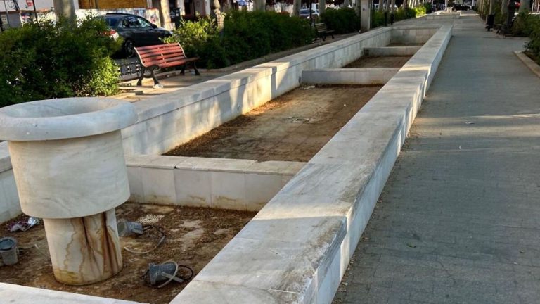 El PSOE denuncia el deterioro de la limpieza en Tomelloso: plagas y menos personal