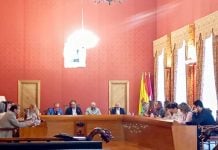 Unanimidad en el pleno: luz verde para tener asistencia técnica en el proyecto europeo “Tomelloso Orígenes y Futuro”