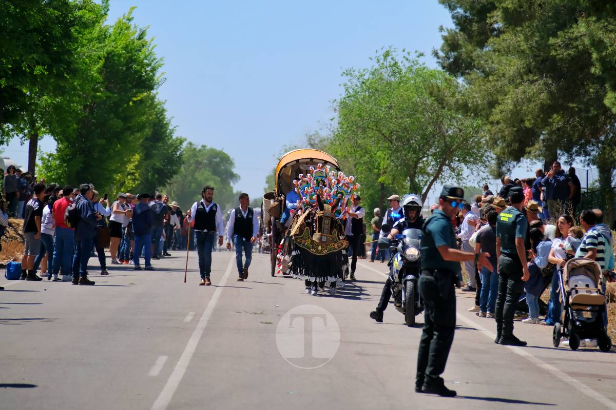 Tomelloso se echa a Pinilla para vivir una Romería multitudinaria junto a su patrona