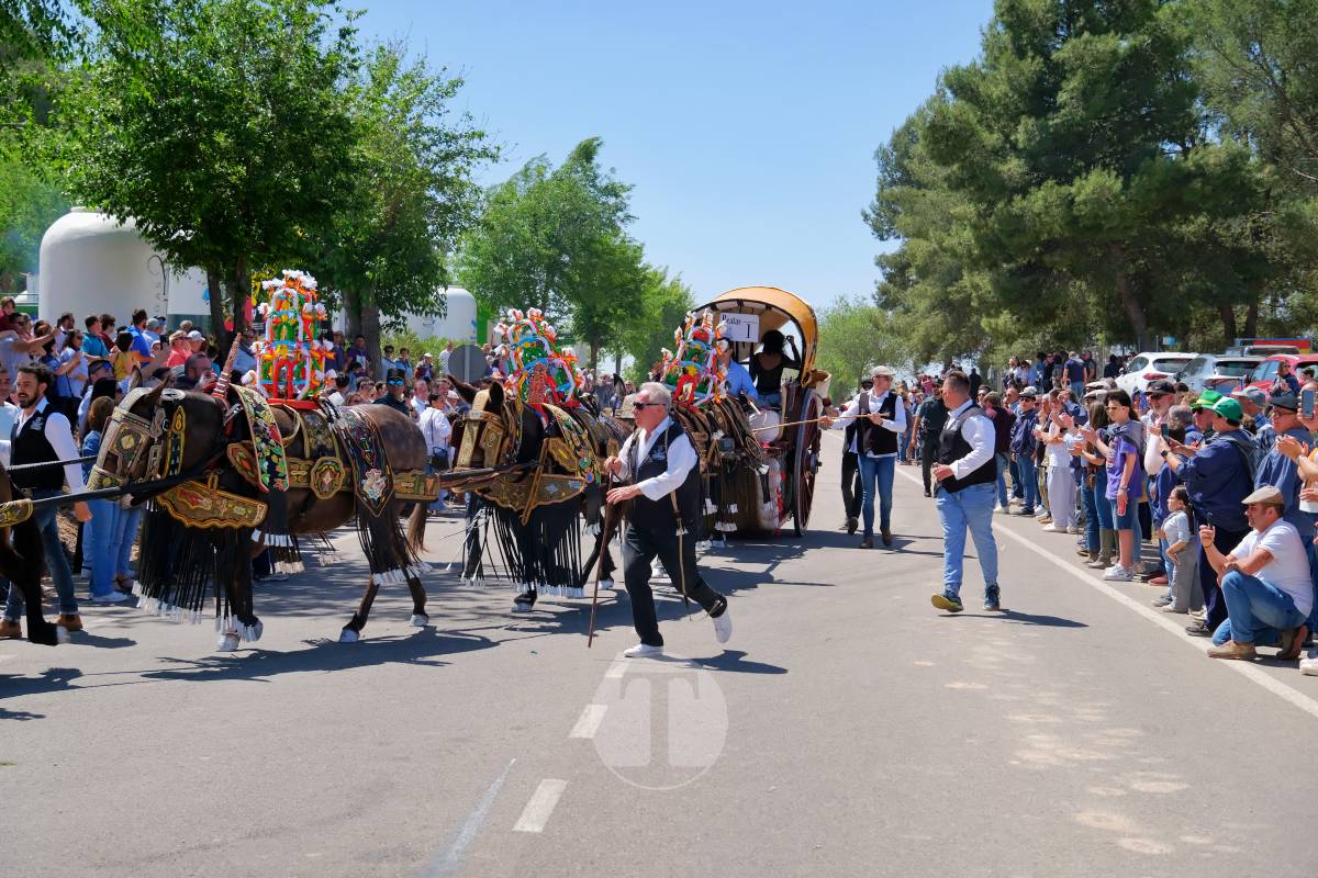 Tomelloso se echa a Pinilla para vivir una Romería multitudinaria junto a su patrona