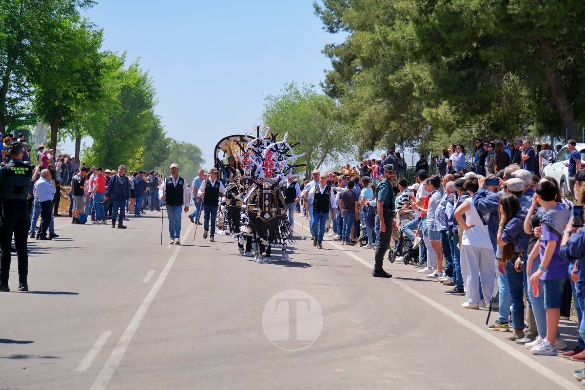 Tomelloso se echa a Pinilla para vivir una Romería multitudinaria junto a su patrona