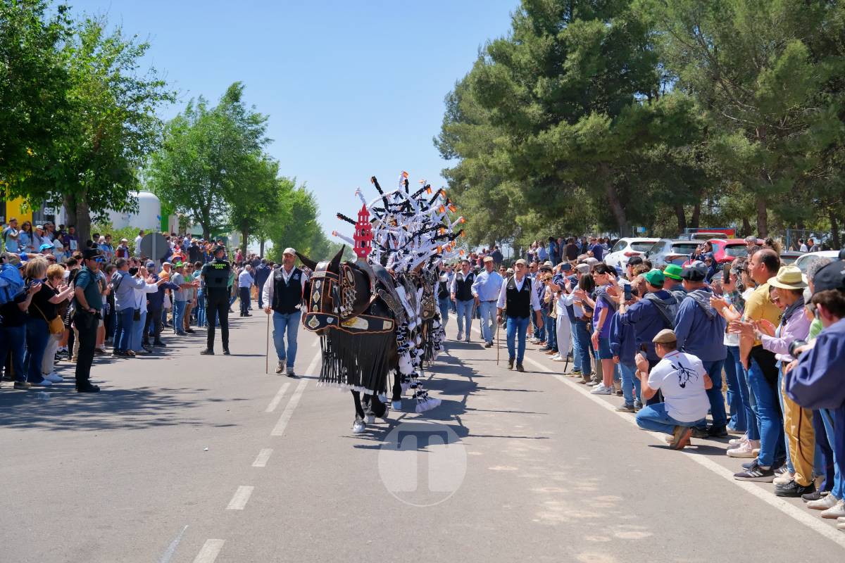 Tomelloso se echa a Pinilla para vivir una Romería multitudinaria junto a su patrona