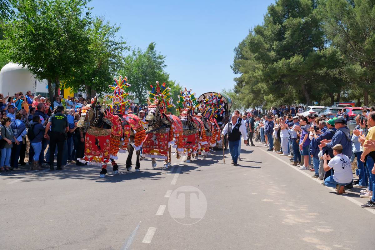 Tomelloso se echa a Pinilla para vivir una Romería multitudinaria junto a su patrona