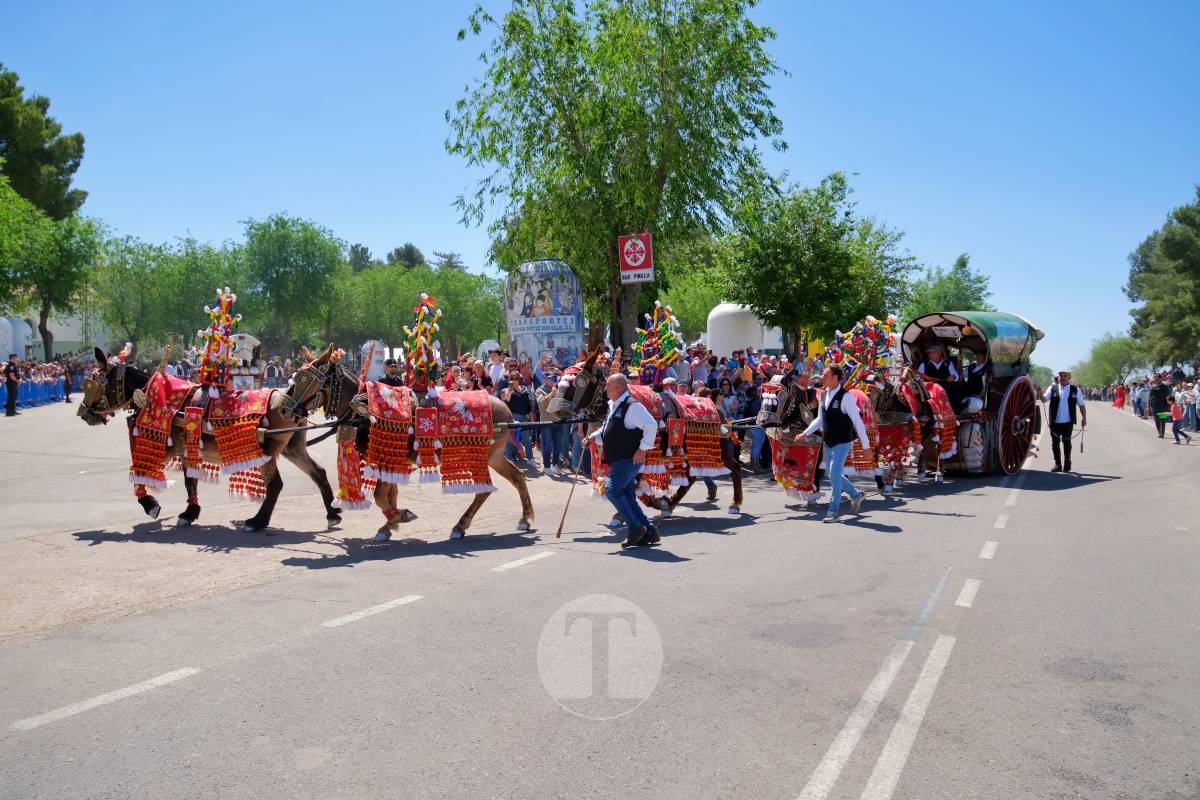 Tomelloso se echa a Pinilla para vivir una Romería multitudinaria junto a su patrona
