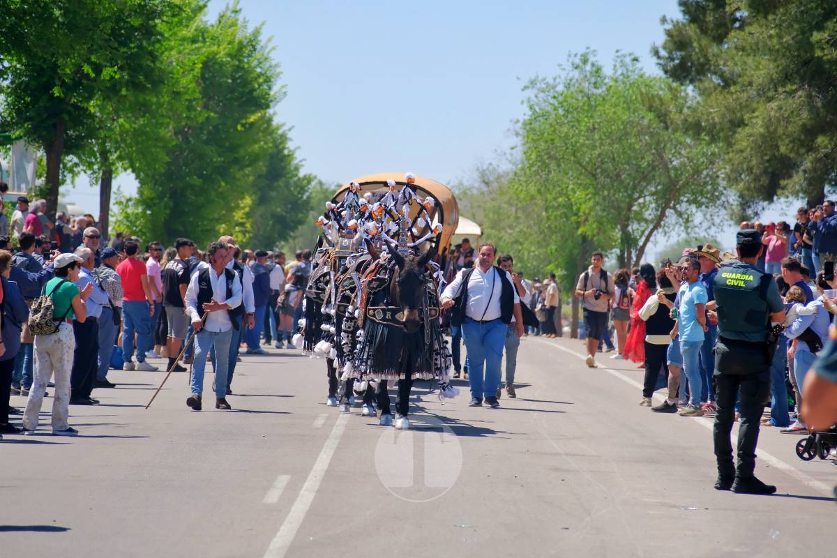 Tomelloso se echa a Pinilla para vivir una Romería multitudinaria junto a su patrona