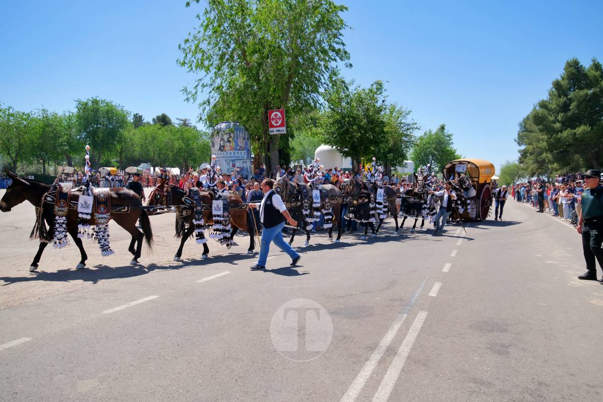 Tomelloso se echa a Pinilla para vivir una Romería multitudinaria junto a su patrona