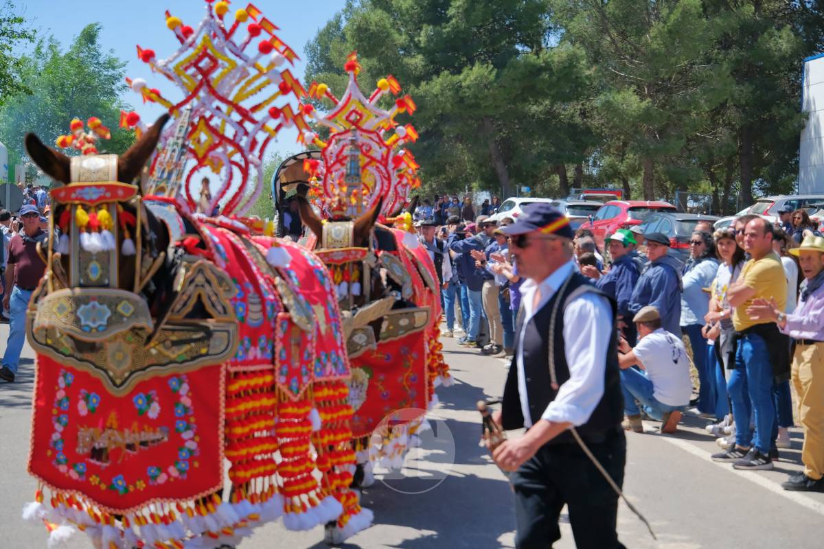 Tomelloso se echa a Pinilla para vivir una Romería multitudinaria junto a su patrona