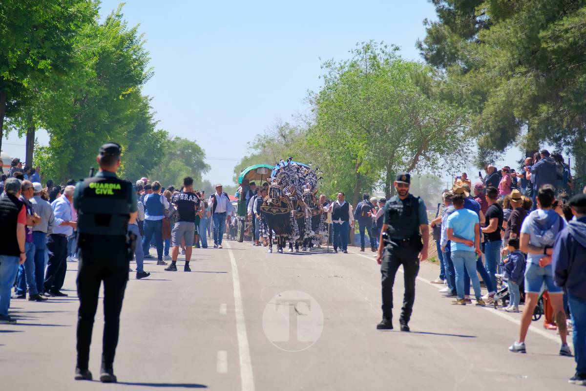 Tomelloso se echa a Pinilla para vivir una Romería multitudinaria junto a su patrona