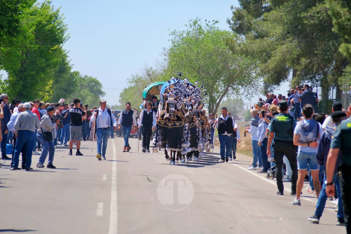 Tomelloso se echa a Pinilla para vivir una Romería multitudinaria junto a su patrona