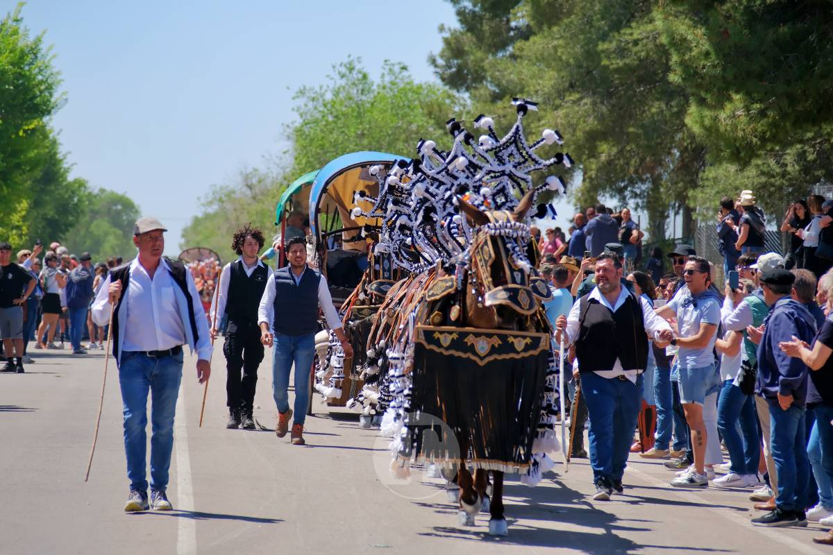Tomelloso se echa a Pinilla para vivir una Romería multitudinaria junto a su patrona