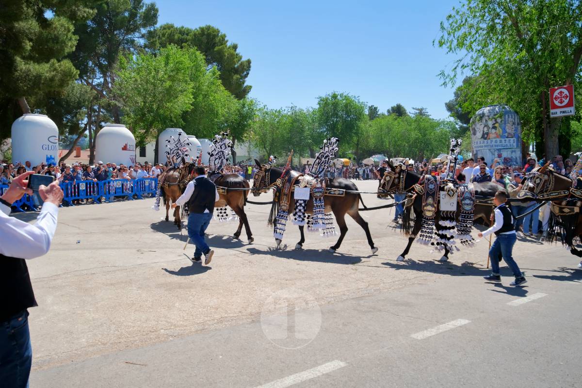Tomelloso se echa a Pinilla para vivir una Romería multitudinaria junto a su patrona