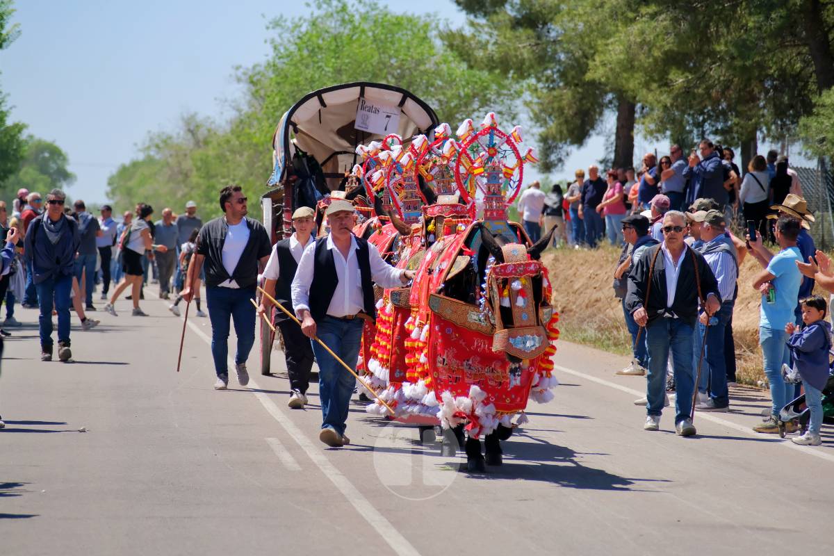 Tomelloso se echa a Pinilla para vivir una Romería multitudinaria junto a su patrona