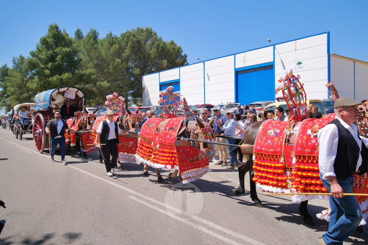 Tomelloso se echa a Pinilla para vivir una Romería multitudinaria junto a su patrona