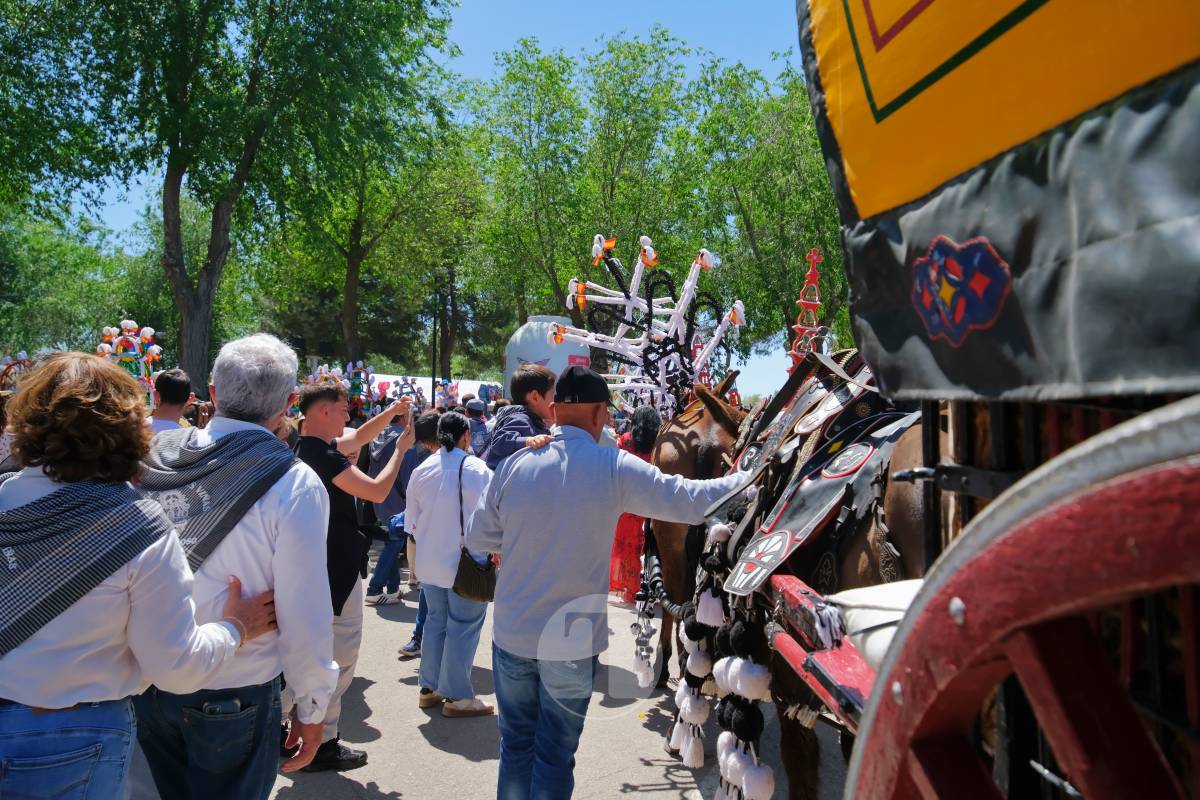 Tomelloso se echa a Pinilla para vivir una Romería multitudinaria junto a su patrona