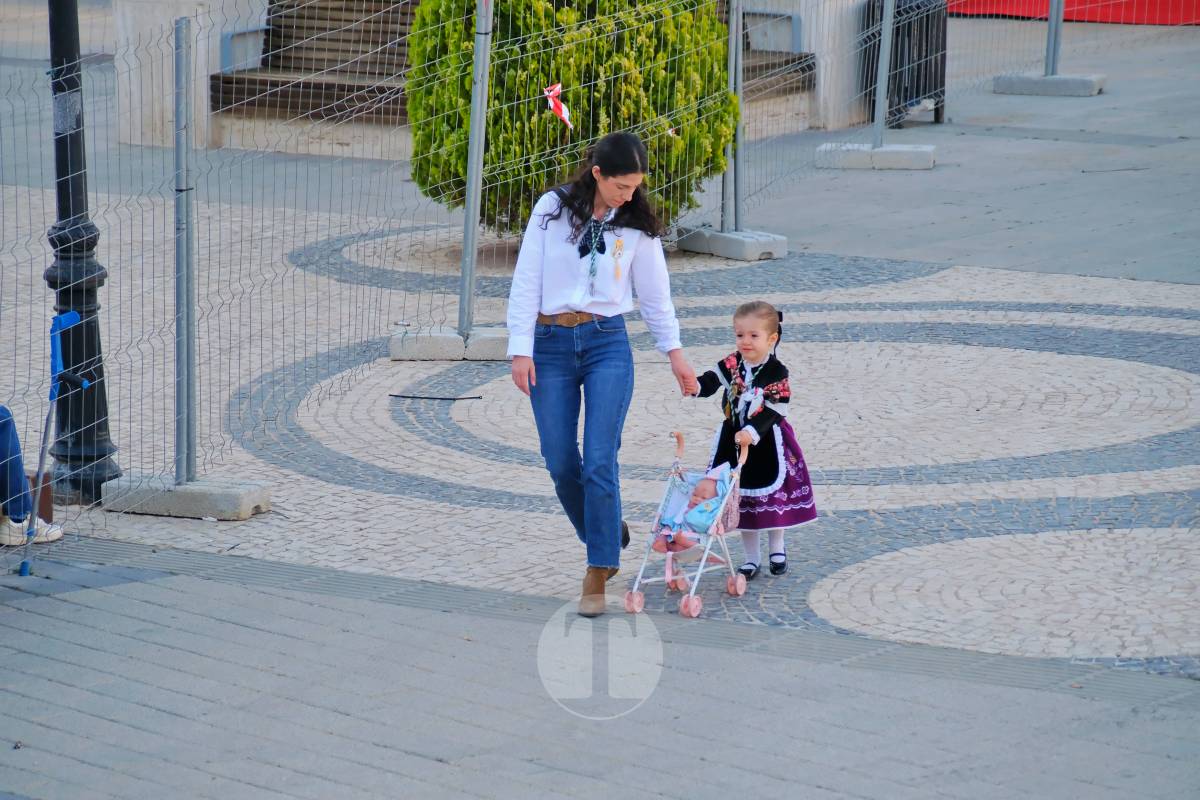 La Virgen de las Viñas emociona a Tomelloso en un regreso multitudinario tras la Romería