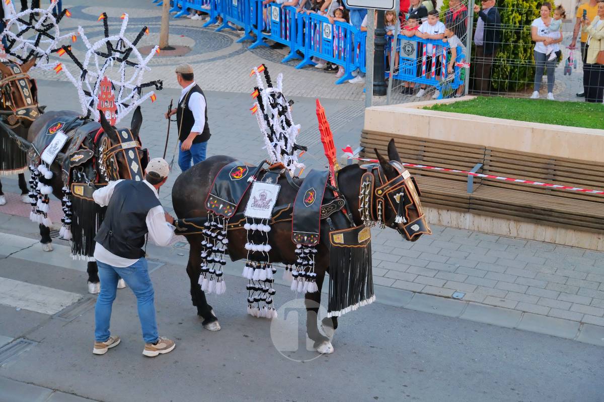 La Virgen de las Viñas emociona a Tomelloso en un regreso multitudinario tras la Romería