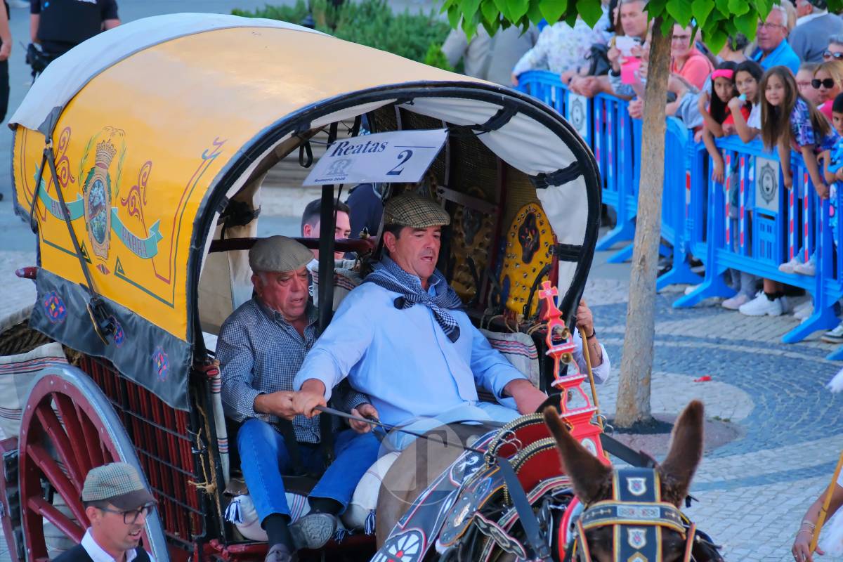 La Virgen de las Viñas emociona a Tomelloso en un regreso multitudinario tras la Romería