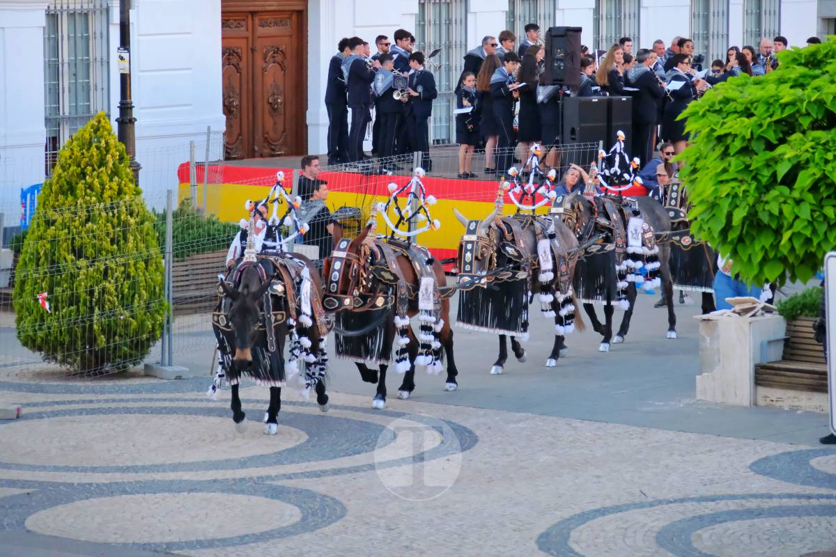 La Virgen de las Viñas emociona a Tomelloso en un regreso multitudinario tras la Romería