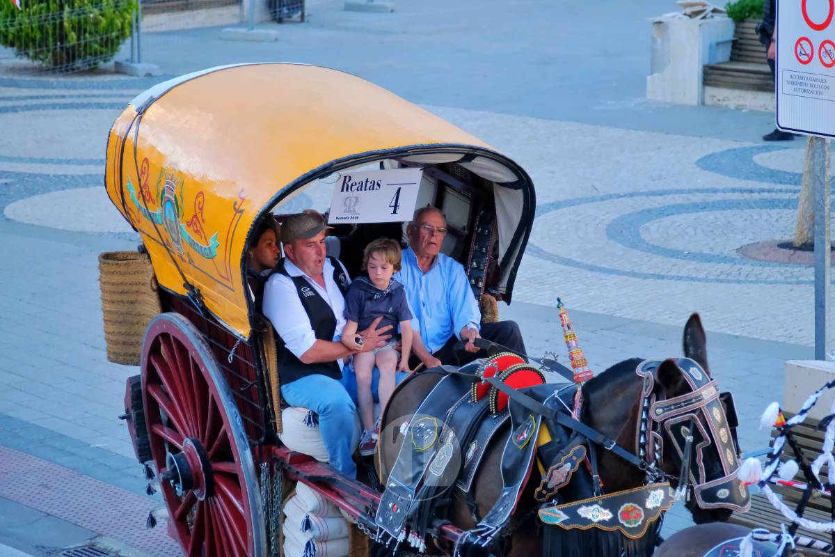 La Virgen de las Viñas emociona a Tomelloso en un regreso multitudinario tras la Romería