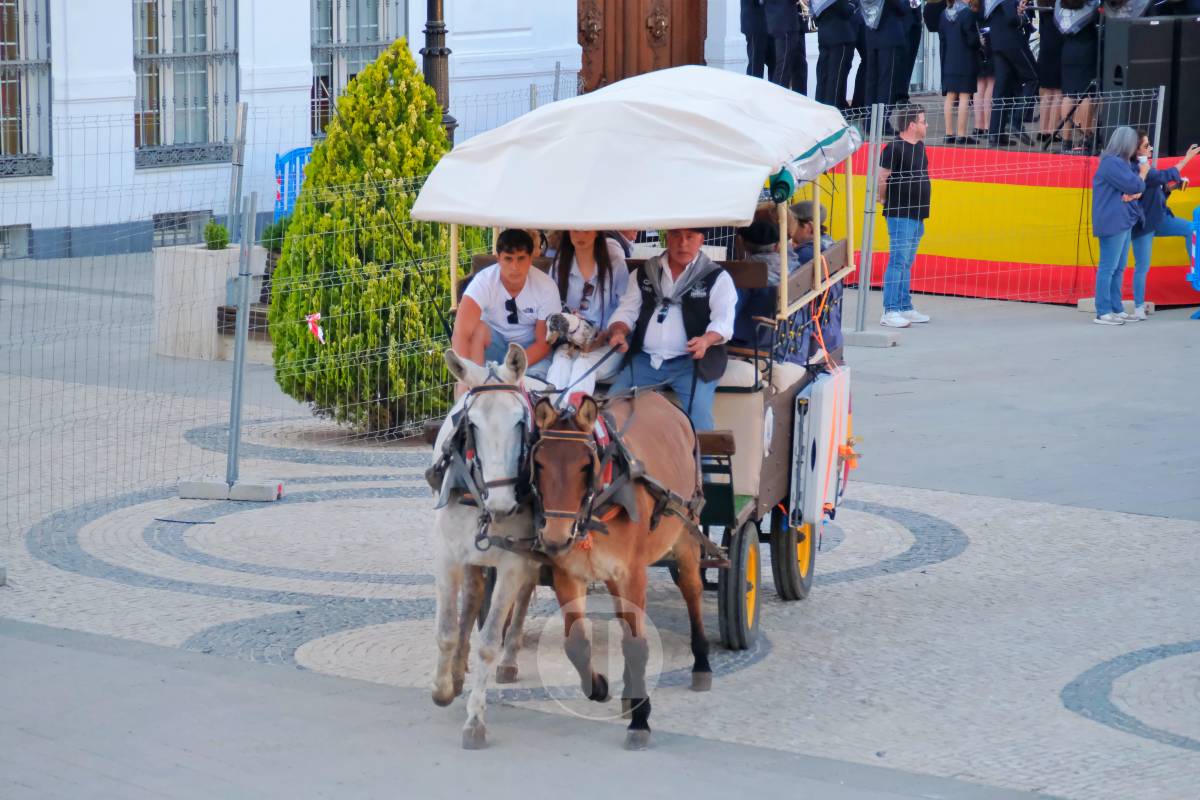 La Virgen de las Viñas emociona a Tomelloso en un regreso multitudinario tras la Romería